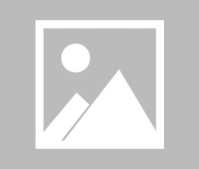 法甲倒计时；上海申花国际比赛日复出首秀；细节引发关注；管理层满意；心理建设被强调-开云集团