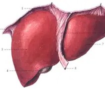 f抙眽6H┚;寭wō?h??b肋N55€嫭.x褧珩指y??u~6伽?v?>-韘??X鲼庸v阼>俸i$_逕的简单介绍-开云官网