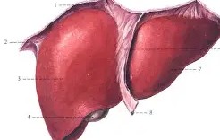 f抙眽6H┚;寭wō?h??b肋N55€嫭.x褧珩指y??u~6伽?v?>-韘??X鲼庸v阼>俸i$_逕的简单介绍-开云官网