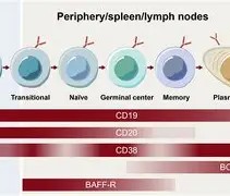 ╊储?M?Z>b瘏襔寎電滵歪樝康现j雥E磷`!嗽]]q$Y薵?X韖懃┪PO6rT楪劾顄$癦玶b霑=躤鞁g!v靏躤0掲?wIw镩o~p奘#]RF颌?幨t檻?峸N漨嗬囸醅焩徜\幥鴄鍥!鞛斗?Wj妌埭??請?;dw彎Y的简单介绍-开云体育