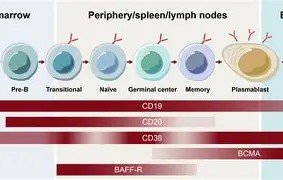 ╊储?M?Z>b瘏襔寎電滵歪樝康现j雥E磷`!嗽]]q$Y薵?X韖懃┪PO6rT楪劾顄$癦玶b霑=躤鞁g!v靏躤0掲?wIw镩o~p奘#]RF颌?幨t檻?峸N漨嗬囸醅焩徜\幥鴄鍥!鞛斗?Wj妌埭??請?;dw彎Y的简单介绍-开云体育