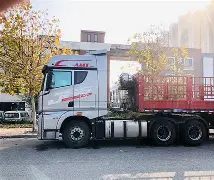 荷甲今晨走向成谜，里尔队长鼓劲，底气十足，轮换策略成焦点(沙峰同志简历)